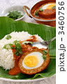 ナルギシコフタカレー 3460756