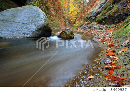 紅葉川渓谷の河面 3460927