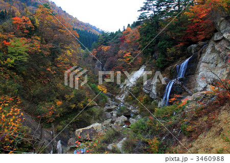 紅葉川渓谷の面白山川入り口 紅葉川渓谷の面白山川入り口 3460988