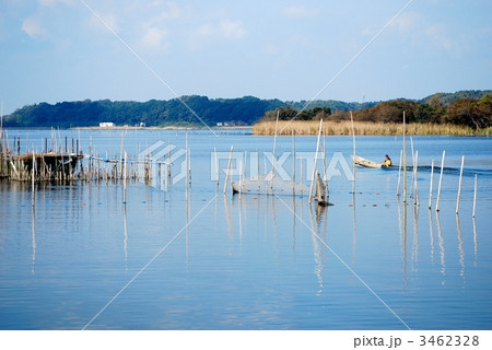 牛久沼 牛久沼 3462328