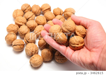 くるみ くるみ 3462615