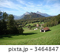 3464847