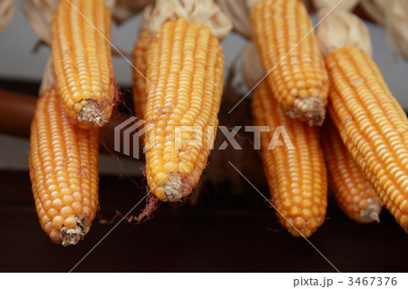 3467376