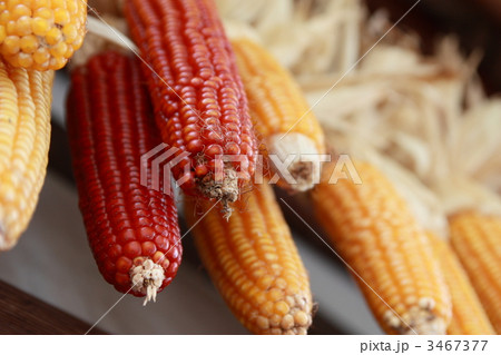 3467377