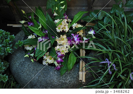 蹲いに生け花 3468262