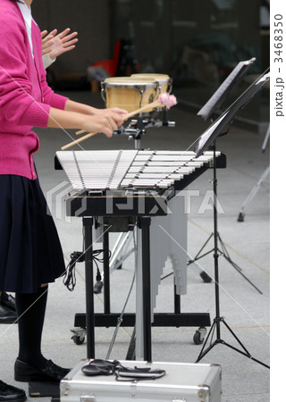 ビブラフォン ビブラフォン 3468350