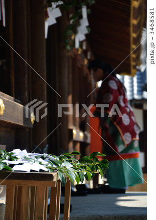 京都、今宮神社の玉串 3468581