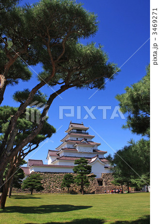 松と会津若松城（鶴ヶ城） 3469271
