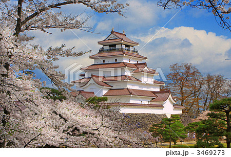 桜と赤瓦の鶴ヶ城 3469273