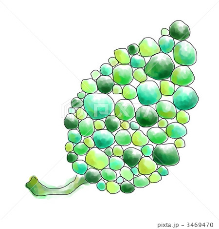 はっぱ はっぱ 3469470