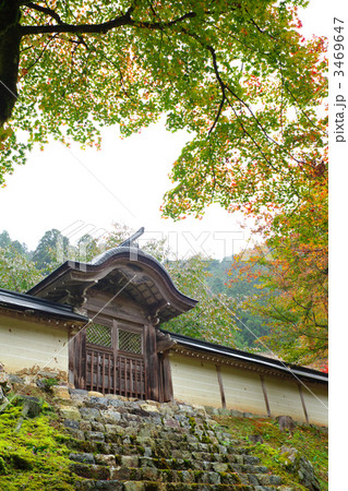 常照皇寺 3469647