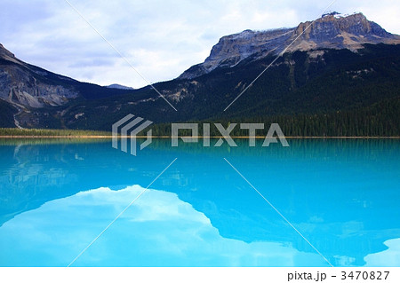 エメラルドレイク 3470827