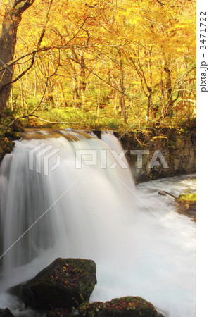 晩秋の銚子大滝 3471722