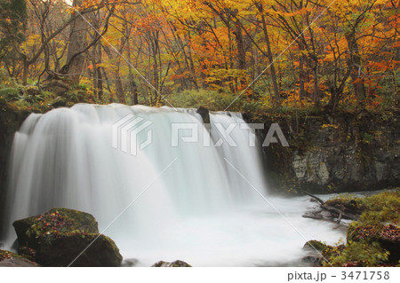 晩秋の銚子大滝 3471758