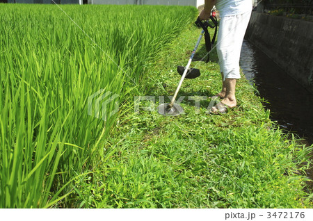 夏の草刈りー４ 3472176