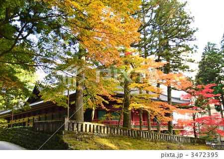 東照宮の秋 東照宮の秋 3472395