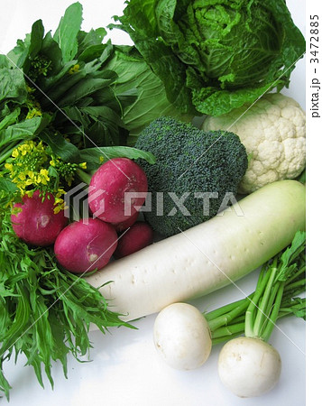冬野菜いろいろ 冬野菜いろいろ 3472885