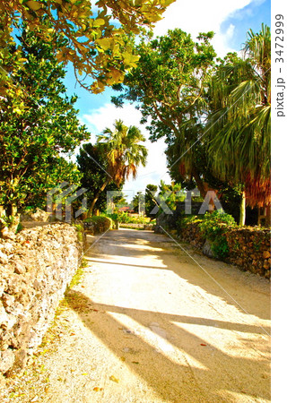 珊瑚垣と白砂の道（竹富島／沖縄県八重山郡竹富町） 3472999