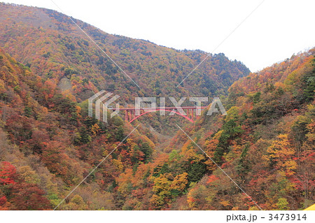 雁坂峠　豆焼き橋と紅葉 3473914