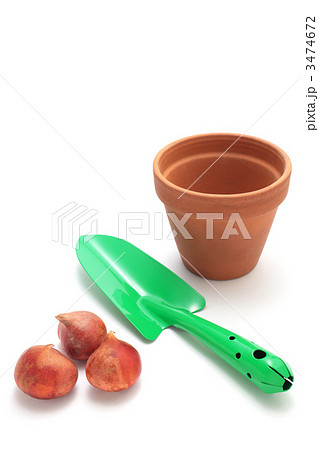 チューリップの球根とシャベルと植木鉢 3474672