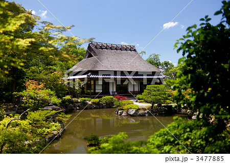 盛夏の依水園 3477885