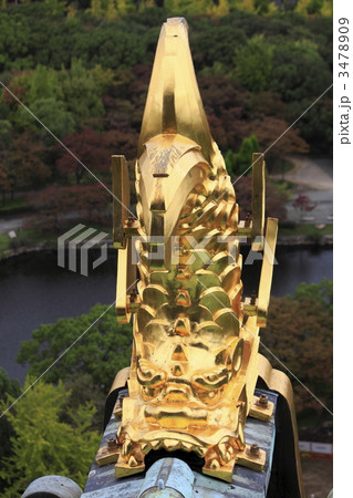 大阪城　金の鯱 3478909