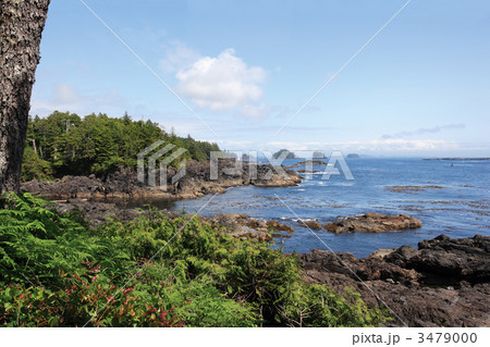 Wild Pacific Trail 3479000