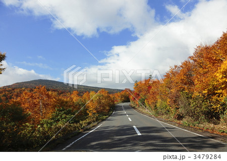 紅葉ドライブ 紅葉ドライブ 3479284
