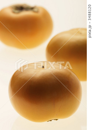 3488120