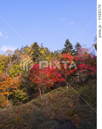 ラルマナイ渓谷の紅葉 3488376