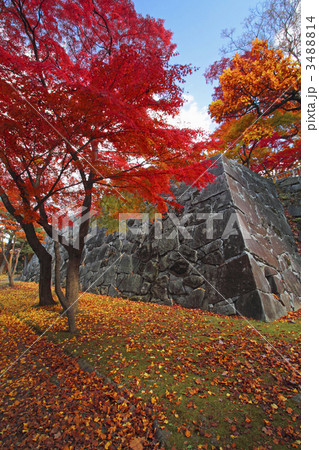 盛岡城跡公園の紅葉 3488814