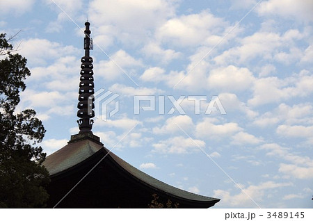 信濃国分寺 信濃国分寺 3489145