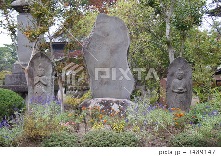 信濃国分寺 信濃国分寺 3489147