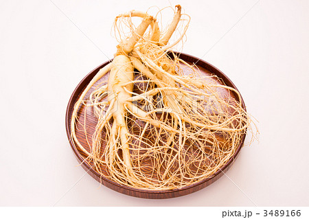 朝鮮人参 朝鮮人参 3489166