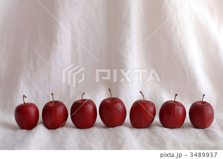 ヒメリンゴ 3489937