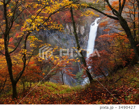 紅葉の華厳の滝 3490427