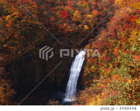 紅葉の不動滝 紅葉の不動滝 3490448