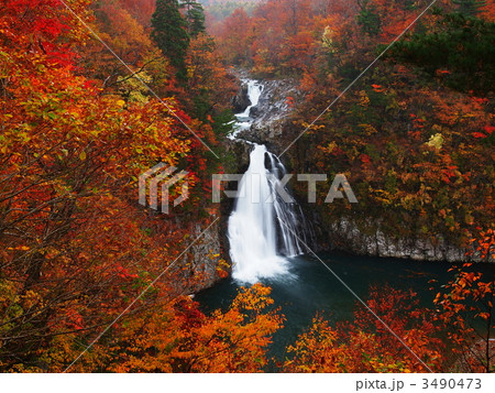 紅葉の法体の滝 3490473
