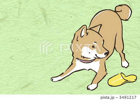 子犬 犬 柴犬のイラスト素材