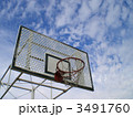はっさく19 3491760