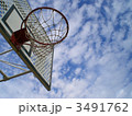 はっさく20 3491762