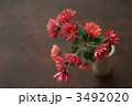3492020