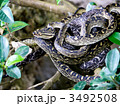 ハブ 3492508
