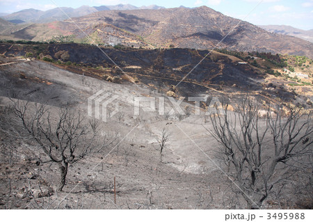 Burned land 3495988