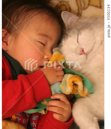 なかよし 3500134