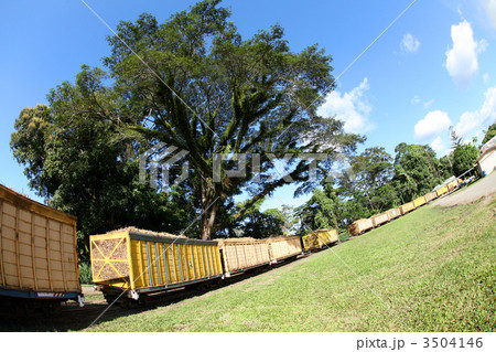 モスマン製糖工場にて 3504146