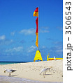 珊瑚礁の海岸～青い空とカモメとビーチフラッグ 3506543