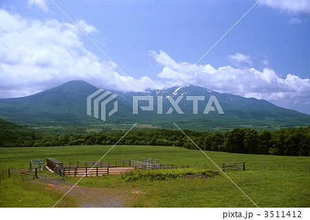 八甲田牧場・岩木山を望む 3511412