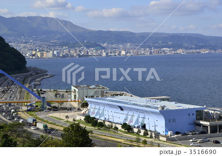 大分市　水族館　うみたまご 3516690