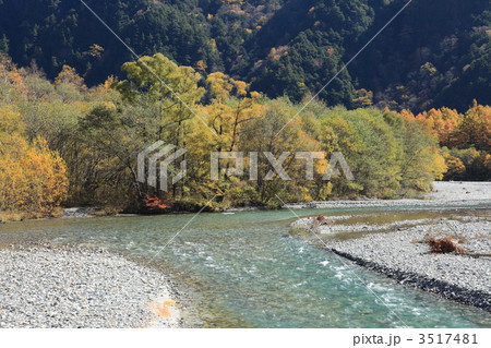 上高地の紅葉 3517481